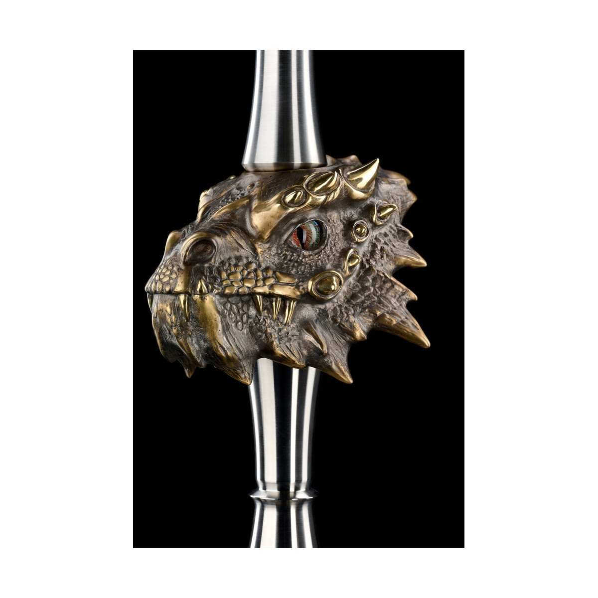 Chicha MAKLAUD DRAGON