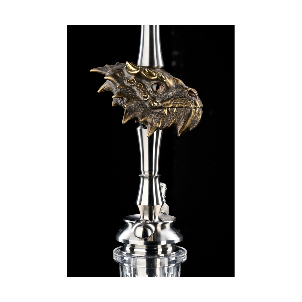 Chicha MAKLAUD DRAGON