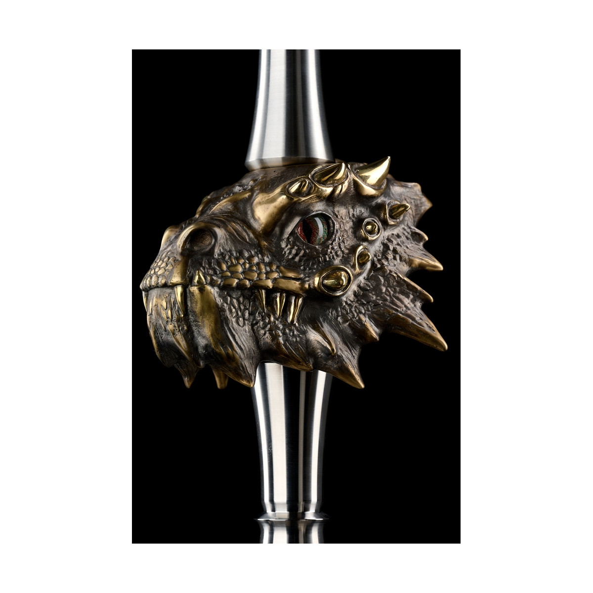 Chicha MAKLAUD DRAGON