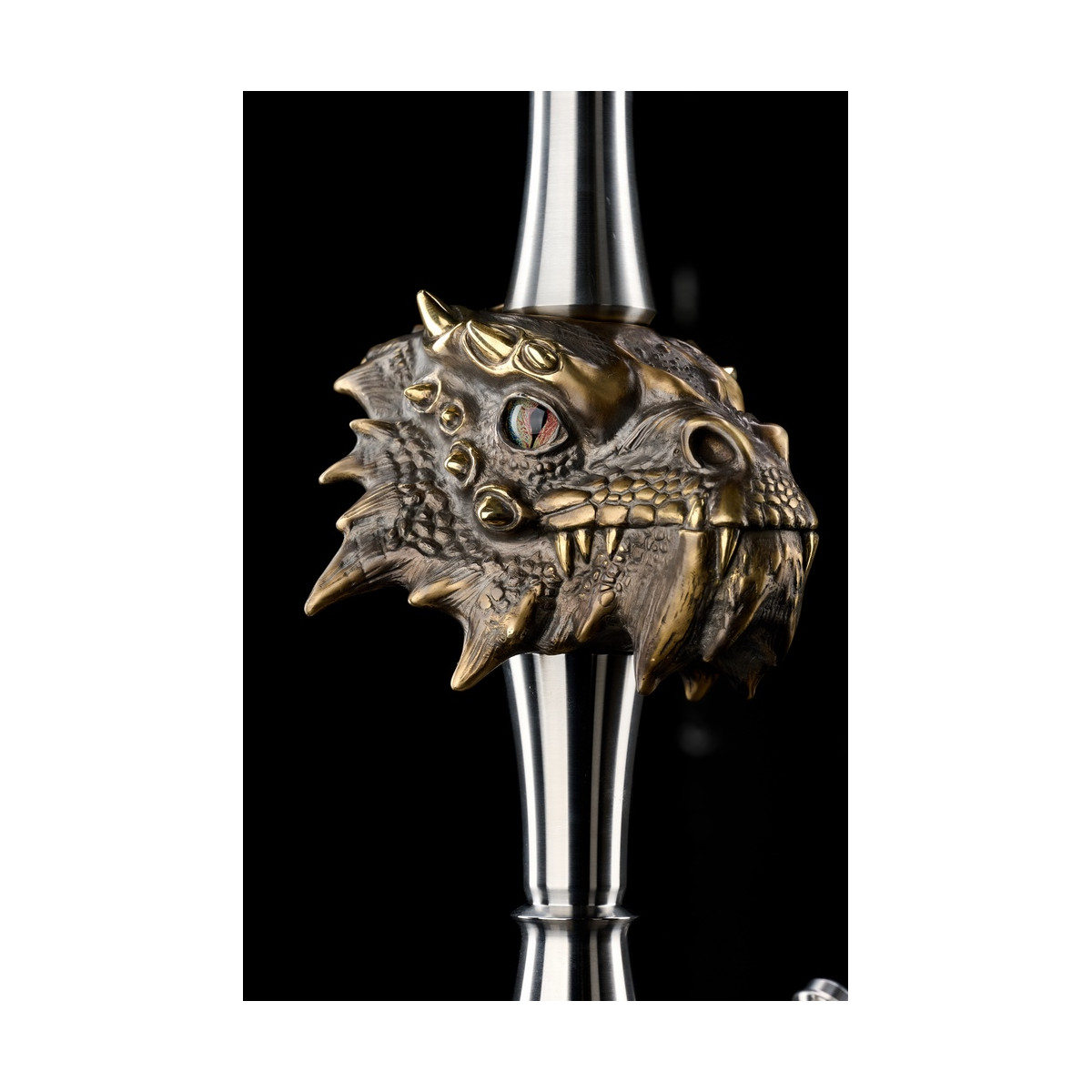 Chicha MAKLAUD DRAGON