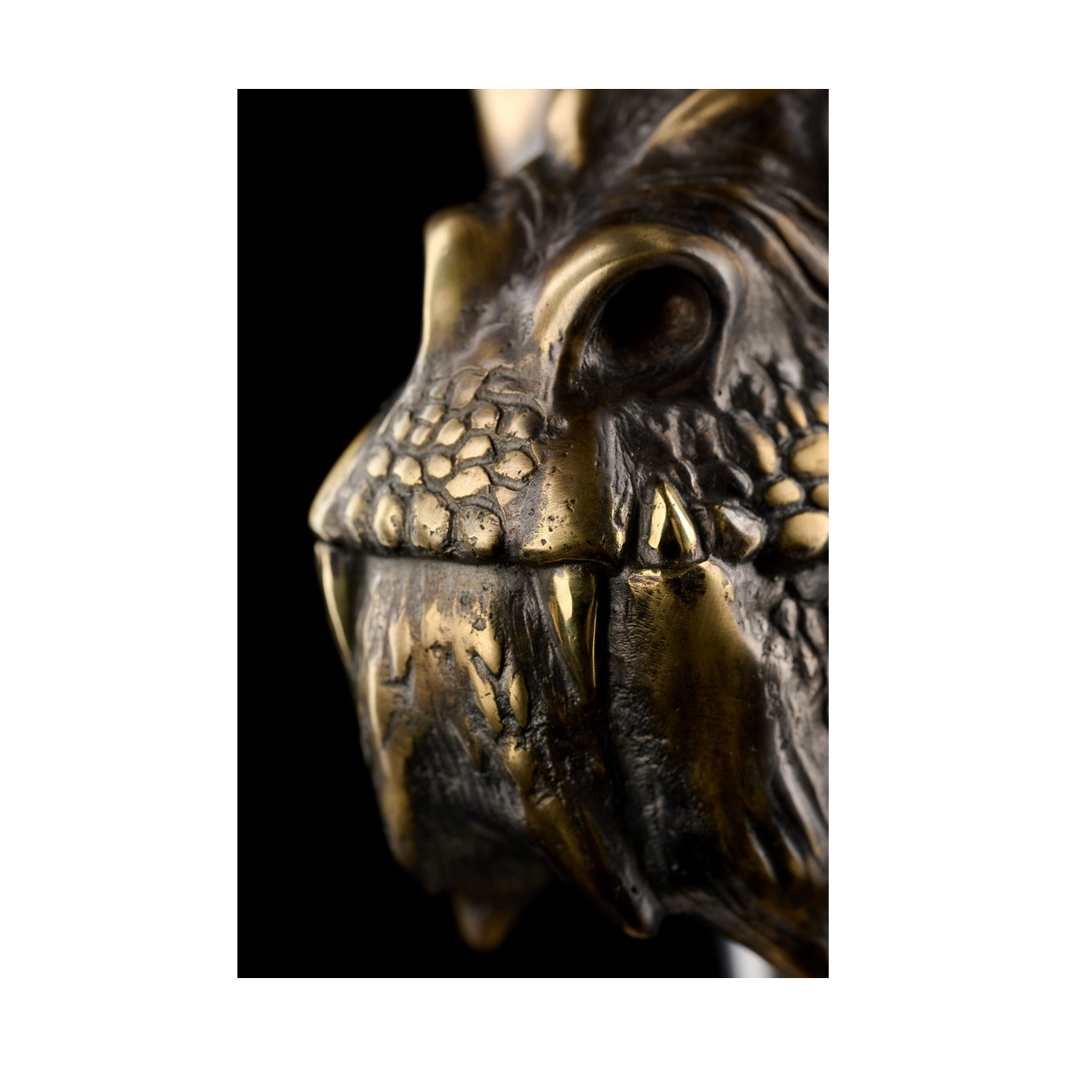 Chicha MAKLAUD DRAGON