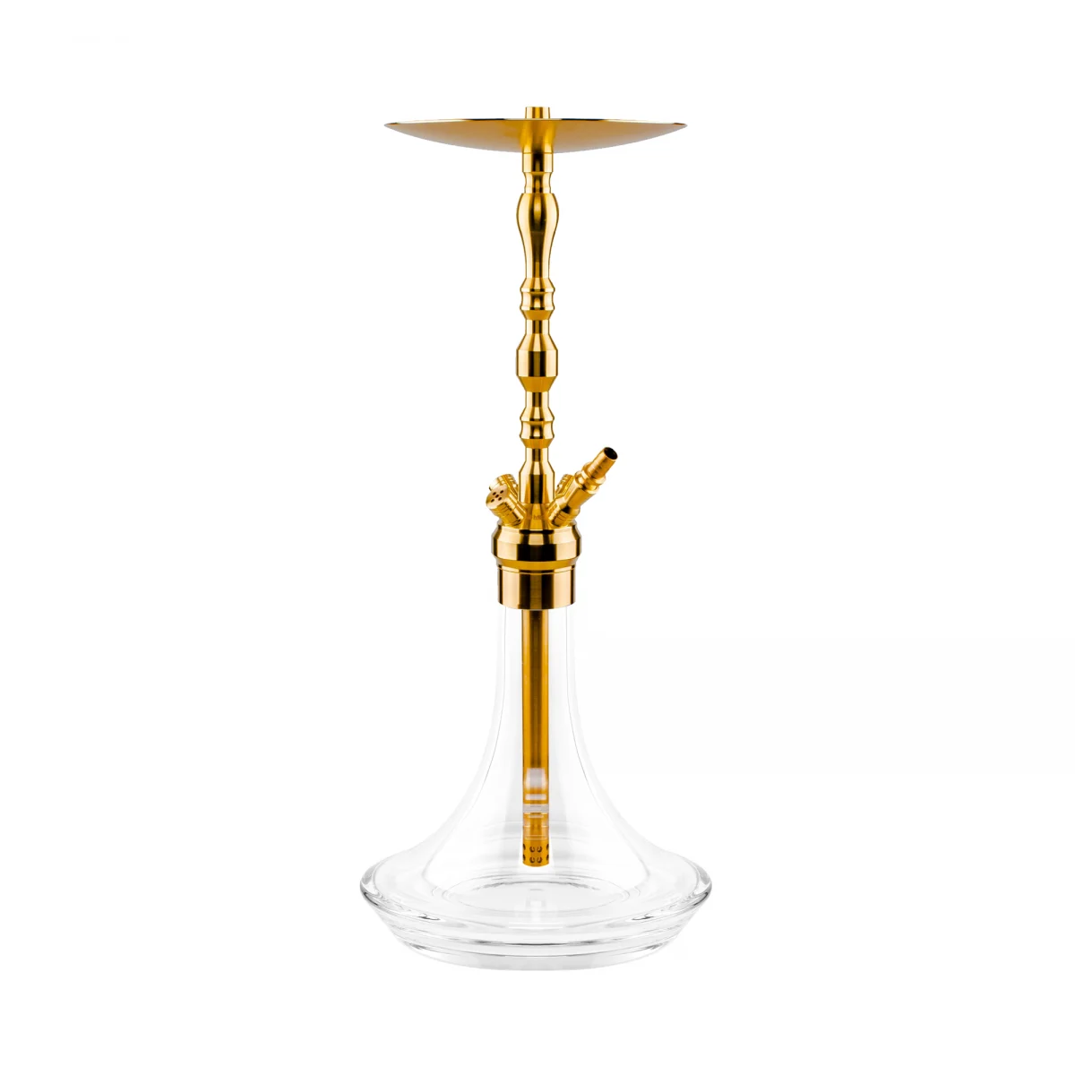 Chicha MIG ARMOUR GOLD 24K