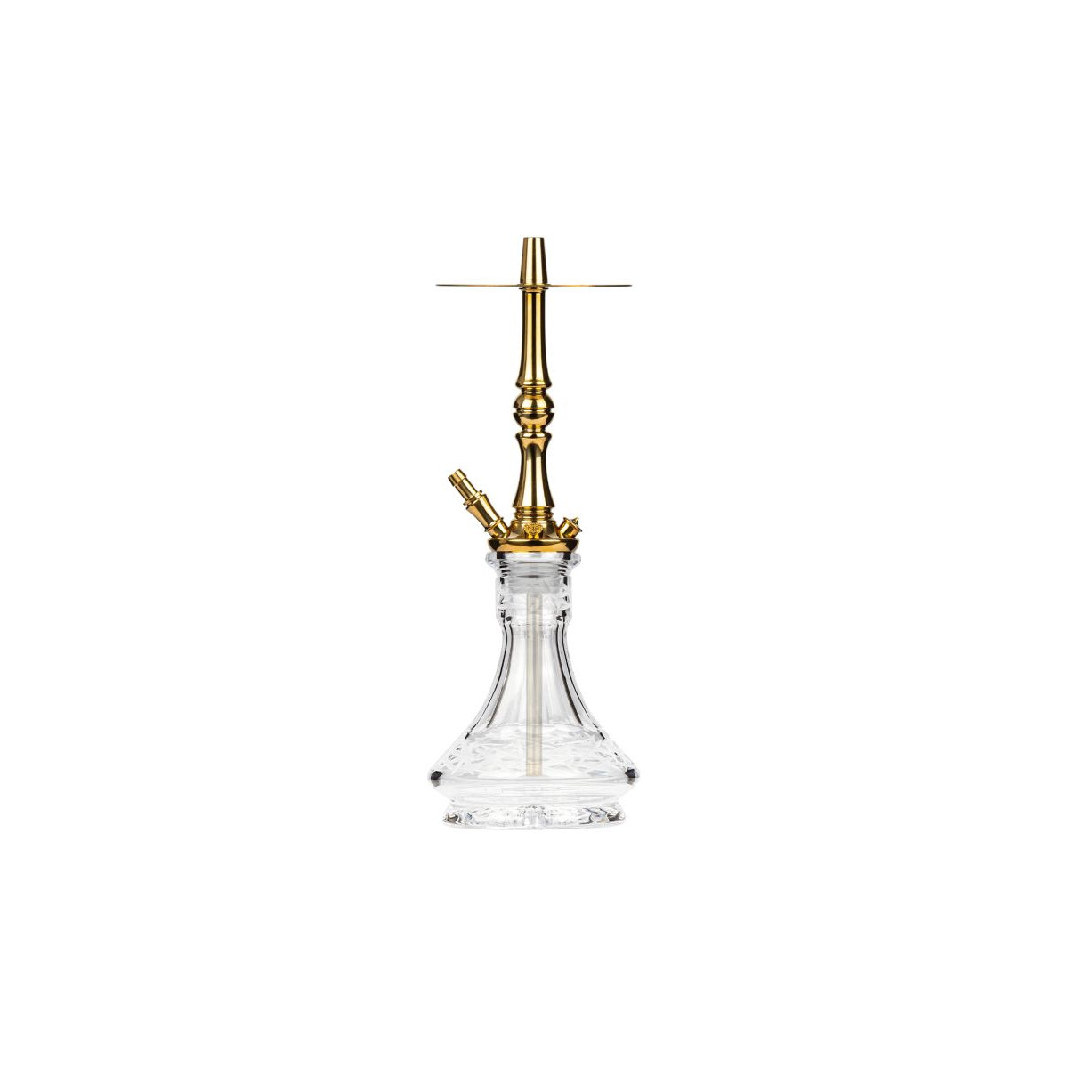 Moze Tradi M Gold Caesar Clear