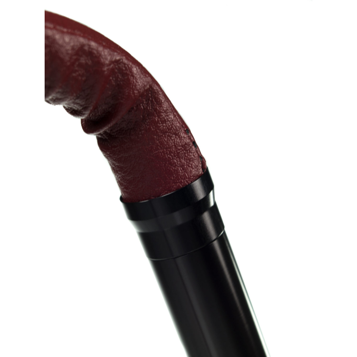 STEAMULATION EXCLUSIVE - THE JAGUAR