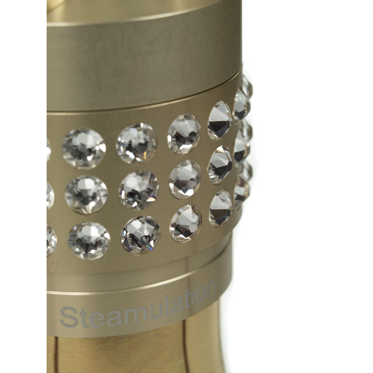 STEAMULATION EXCLUSIVE - THE TIGER